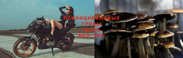 тгк Верея
