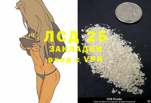 тгк Верея