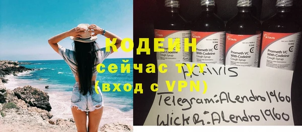 соль ск Верхний Тагил